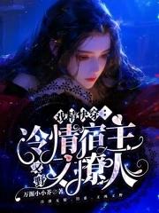 宿主太强了怎么办