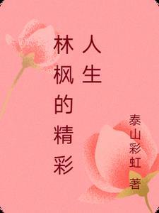 主人公林枫名称
