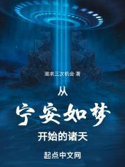 从宁安如梦开始的诸天防盗