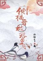 侧福晋被一路带飞txt 侧福晋被一路带飞txt