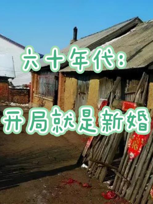 六十年代开局就是新婚免费 六十年代开局就是新婚免费