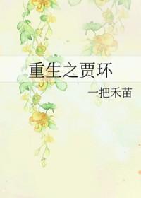 重生贾环和马夫学武的