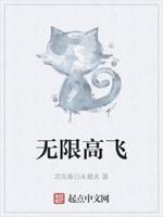 无限高飞 无限高飞