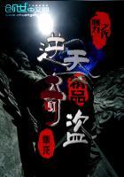 逆天奇盗 逆天奇盗