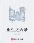 重生之天条 重生之天条