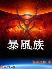 暴风族 暴风族