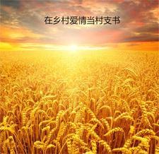 在乡村爱情当村支书 在乡村爱情当村支书