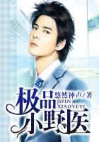 极品小野医 极品小野医