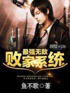 最强无敌败家系统 最强无敌败家系统