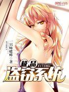 极品盗窃系统 极品盗窃系统