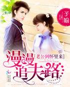 漫漫追夫路:老公到怀里来 漫漫追夫路:老公到怀里来